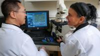 Dr. Tazel working with a lab member